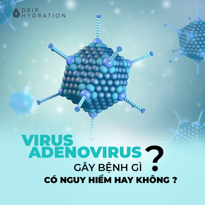 Virus Adenovirus